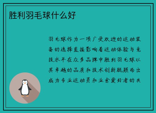 胜利羽毛球什么好