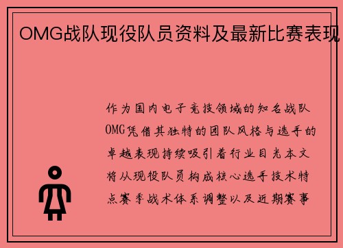 OMG战队现役队员资料及最新比赛表现